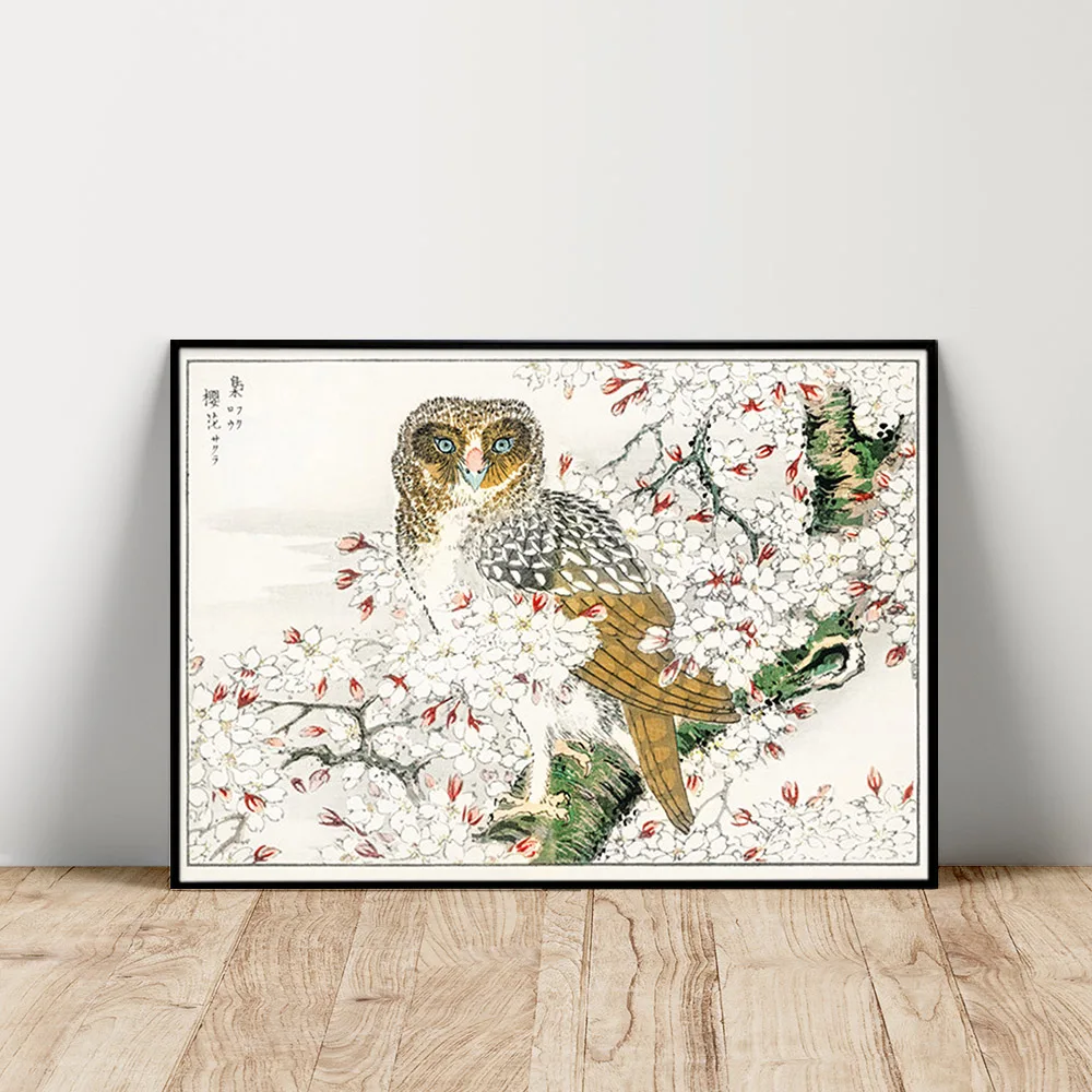 

Numata Kashu Print Art Poster Short-eared Owl And Cherry Blossom Canvas Painting Decor Wall Stickers