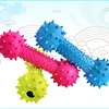 Pet Toys Small Dogs Rubber Resistance To Bite Sound Barbells Barbed Dumbbells Teeth Cleaning Chew Training Toys Pet Supplies