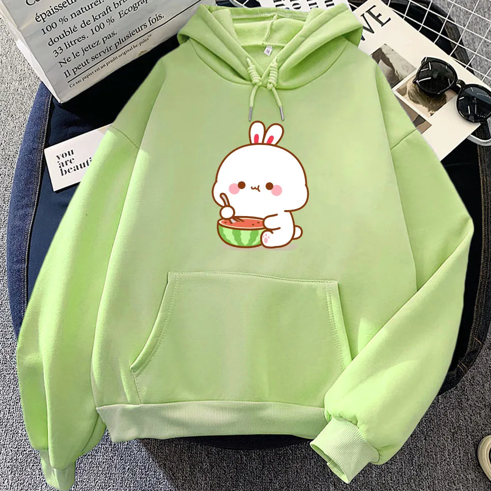 Rabbit Eating Watermelon Printed Hoodies Sudaderas Women/Men Long Sleeve Hooded Pullovers Winter Kawaii Cartoon Sweatshirts Cute i love capybaras hoodies men sweatshirts capybaras printed fleece men clothing jacket oversized hoodie women s sweater men tops