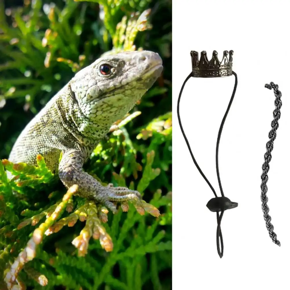 1 Set Crawling Pet Necklace Useful Alloy Lizard Transform Outfit Bearded Dragon Lizard Crown Necklace for Festival