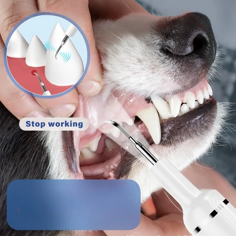 Pet Dog Dental Calculus Remover Pet Ultrasonic Scrubber Dog Tooth Flusher Oral Cleaning Device Cat Sonic Luxury Clean Supplies