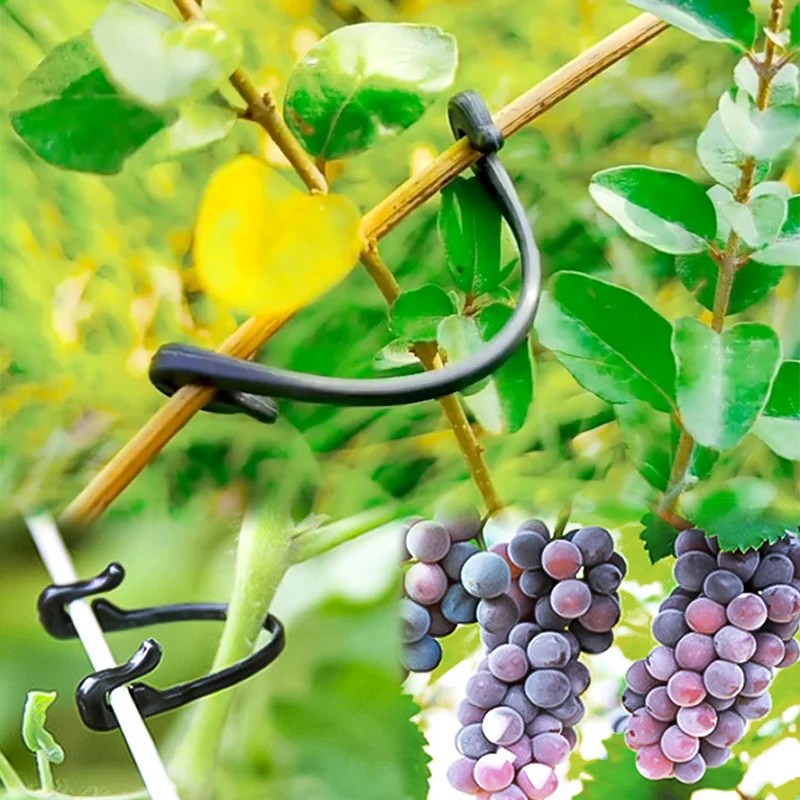 

50pc Black Self-locking Plant Vine Fastener For Vegetable Grape Branch Crop Grafting Clip Agricultural Greenhouse Garden Supplie