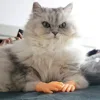 Cat fun toy Small gloves Cat finger Sleeve mini hand model silicone small gloves Cat massage tools Pet cat toy Halloween gift 2