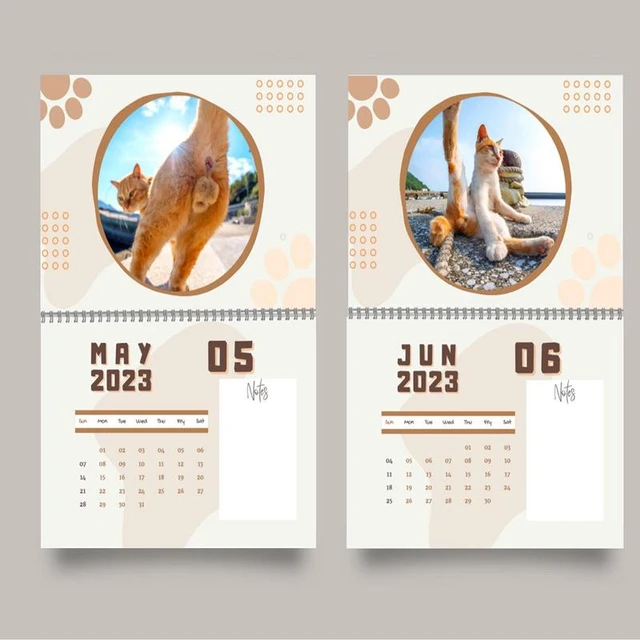 Cat Balls Calendar 12 Month Cat Balls Calendar With Notes Space Cat  Butthole Calendar 2023 For Keeping An Accurate Track Of _ - AliExpress  Mobile