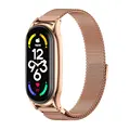 MagneticPlusRosegold