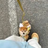 [Popular Chioce] Small Dog Harness and Leash Step in No Chock No Pull Soft Mesh Bee Heart Wing Cute Design With Secure Zinc Allo 6