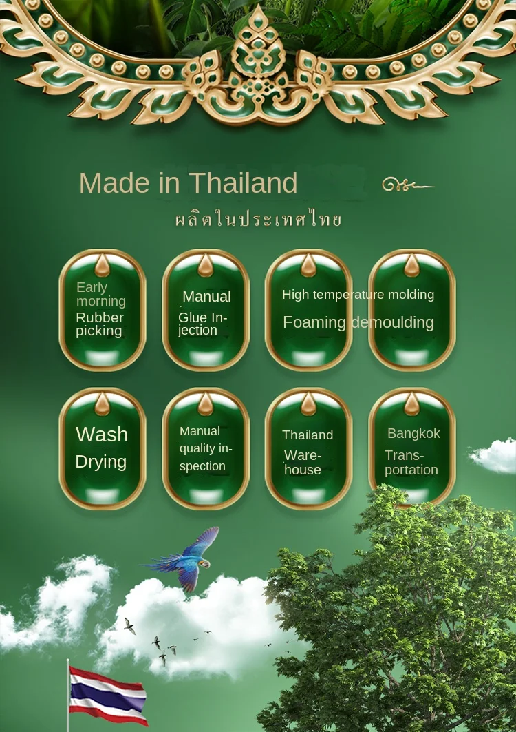 Natural Latex Pillow for Neck Pain Thailand Massage Pillow |Dream Tech
