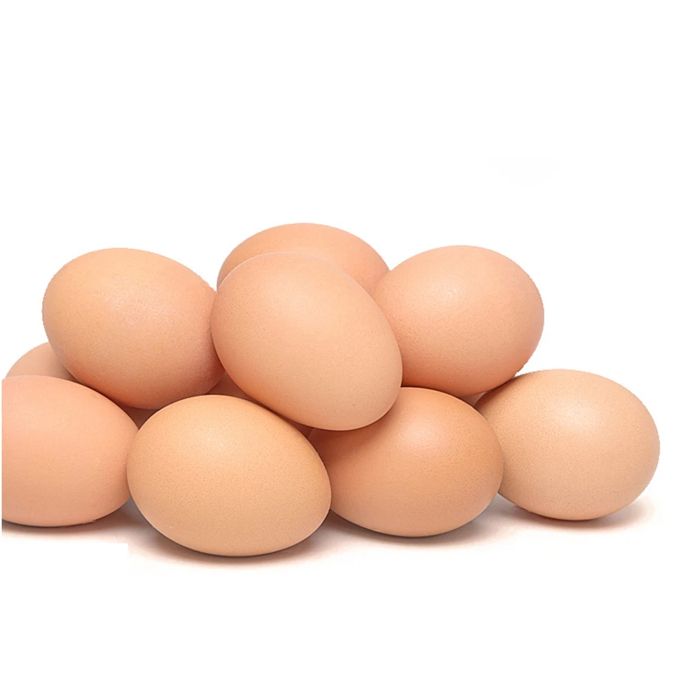 Plastic Eggs Toy Eggs 30 Pcs Poultry Series Fake Hens Hatch Nest Eggs Children's Toys Farm Animal Cages Accessories DIY Painting