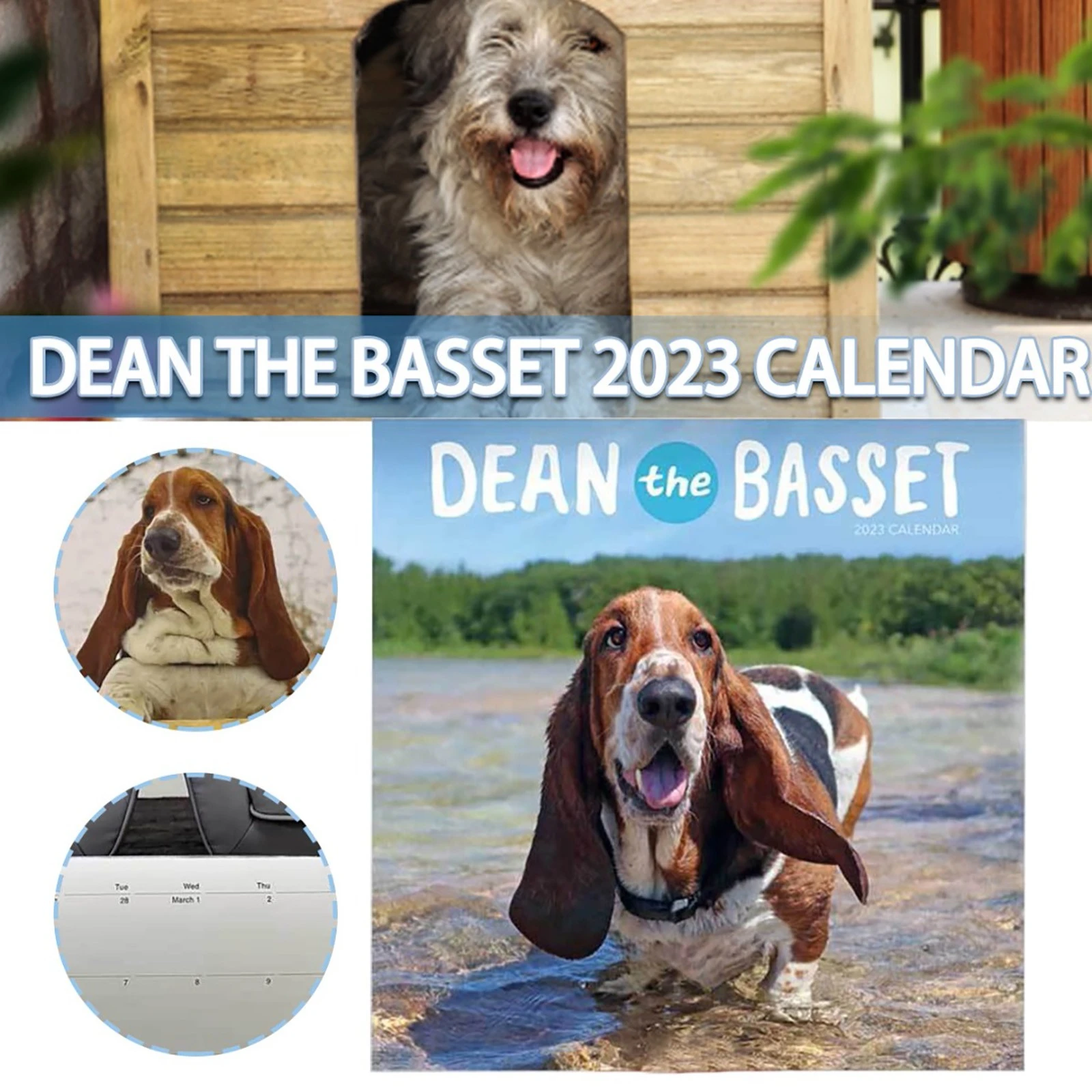 2022 Wall Calendar Dogs 2023 Calendar New Year Gift Dog Calendar Home Decor Calendar  Dad Jokes Desk Calendar 2022| | - AliExpress