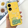 Case-c34