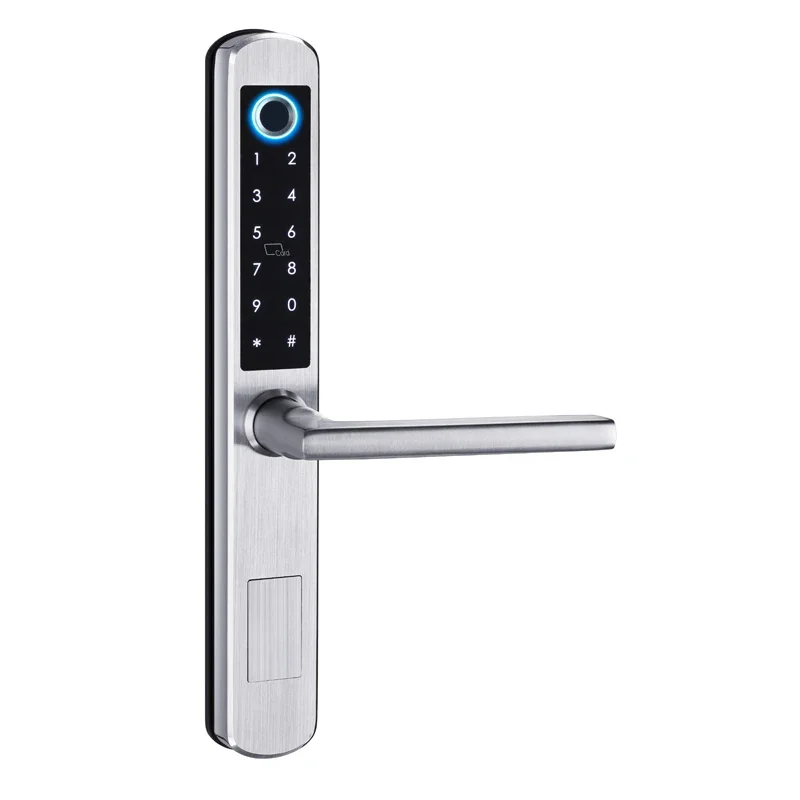 

Tuya Smart TTlock Slim Aluminium Door Usage Waterproof Hook Sliding Door Smart Lock