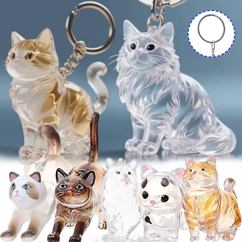 New Cat Hair Storage Keychain Bag Pendant Transparent Pet Fur Keepsake Capsule Souvenir Collection Gift Decoration Accessories 1