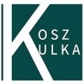 koszulka Dropshipping Store Store
