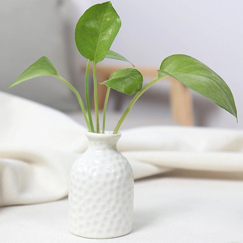Nordic Ceramic Vase Simple Small Fresh Flower Pot Storage Bottle For Flowers Living Room Modern Home Decorations Ornaments