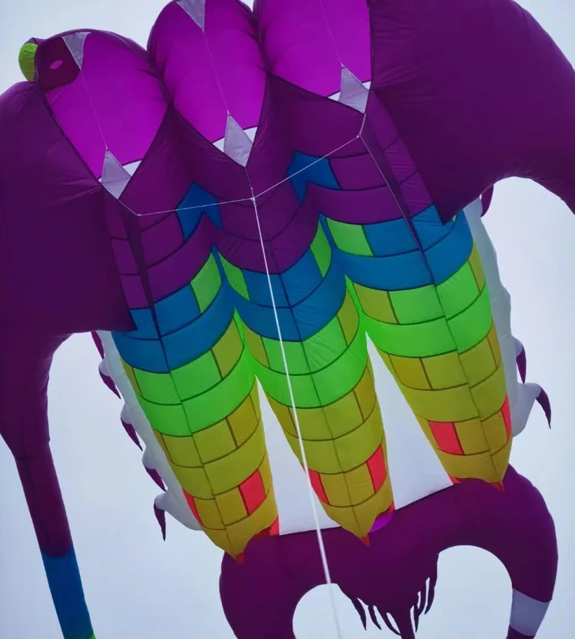 professional giant kite wind kites Trilobite soft Kite flying kites for