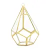 Five-sided Rhombus Glass Container Desktop Succulent Garden Flower Pot Moss Fern Swing Cover Plant Pot Air Plants 6