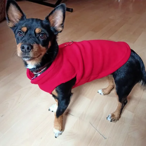 따뜻한 양털 개 옷, 애완견 재킷 조끼, D-링, 작은 개 고양이 의류, 프랑스 불독 의상, 치와와 코트 3