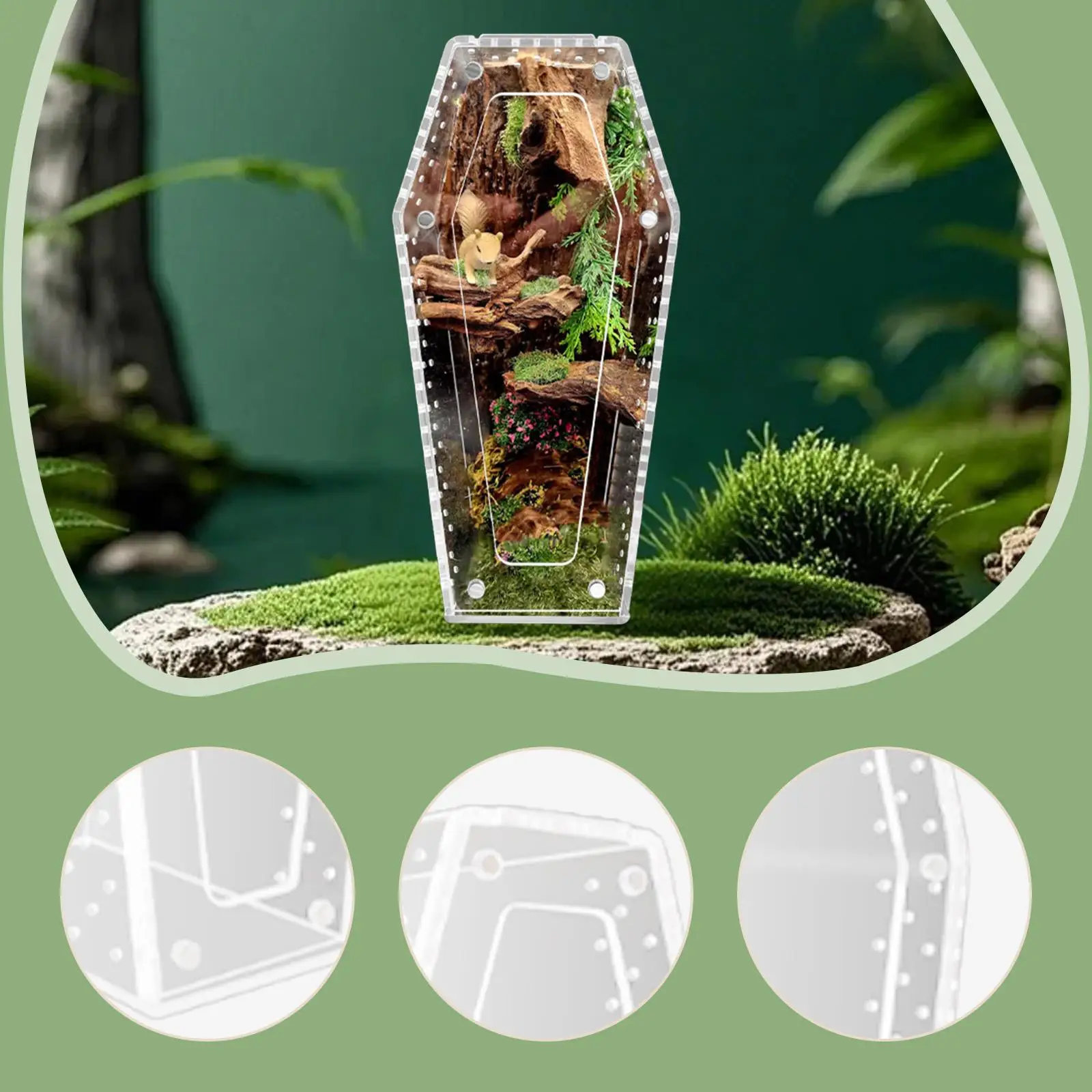 Acrylic Jumping Spider Enclosure Reptile Terrarium Spider Tank Acrylic Jumping Spider Enclosure Reptile Terrarium Spider Tank