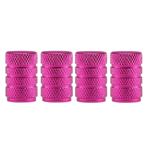 DSYCAR 4Pcs Silver Car Tire Valve Stems Cap Knurling Style Tire Valve Cap Aluminum Tire Wheel Stem Air Valve Cap for US Schrader - Image 19