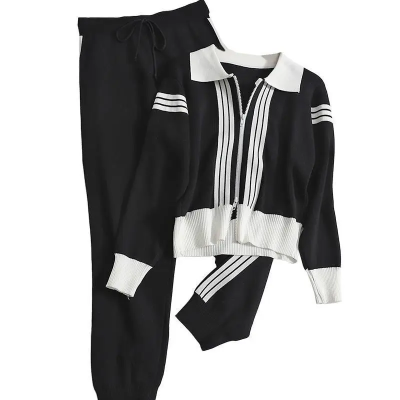 Autumn Winter New Two Piece Set Women Long Sleeve knitted Sweater Tops And Skinny Pants Matching Set 2023 Fashion Tracksuit Sets