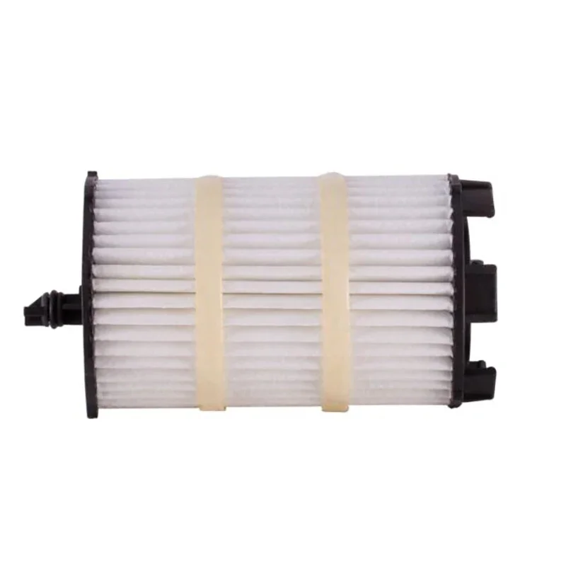 Car Oil Filter For AUDI A4 A5 A6 A8 Q7 R8 For VW TOUAREG 4.2 FOR LAMBORGHINI GALLARDO 5.2 079198405B 079198405E 079115561F For Car Oil Filter