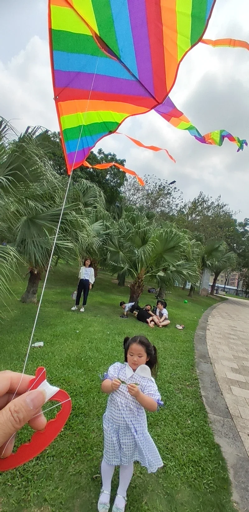 Large 60-inch Rainbow Swallow Kite With 660ft String Reel - Easy Fly For Kids & Adults, Beach & Park Outdoor Fun