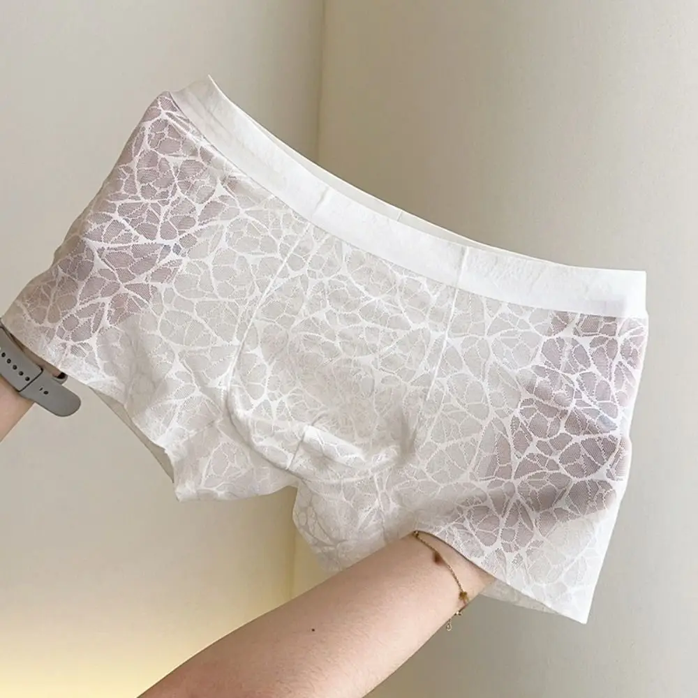 Men's Quick Dry Lace Mesh Boxer Briefs