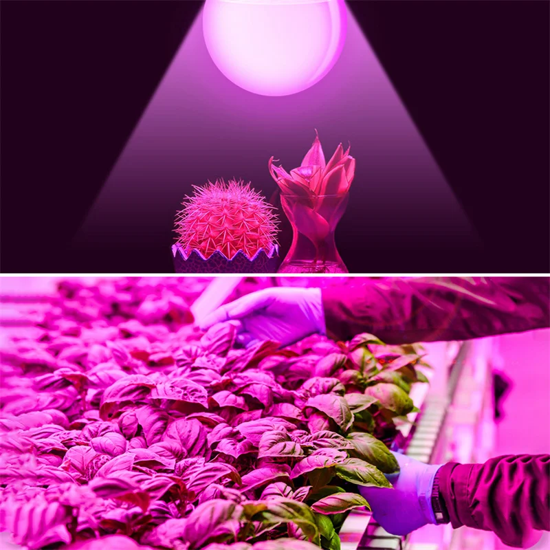 E27 Plant Grow Bulb Waterproof Full Spectrum Greenhouse Grow Light for Hydroponics System Flower Vegetable Plant led grow lamp led plant light growing lamp bulb