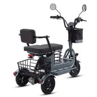 Tricycle électrique puissant pour parents, enfants et adultes, 3 roues, pour personnes âgées, 2 places, batterie 800W amovible, longue autonomie, scooter électrique 60 km 3
