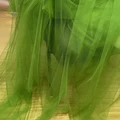 Fern Green