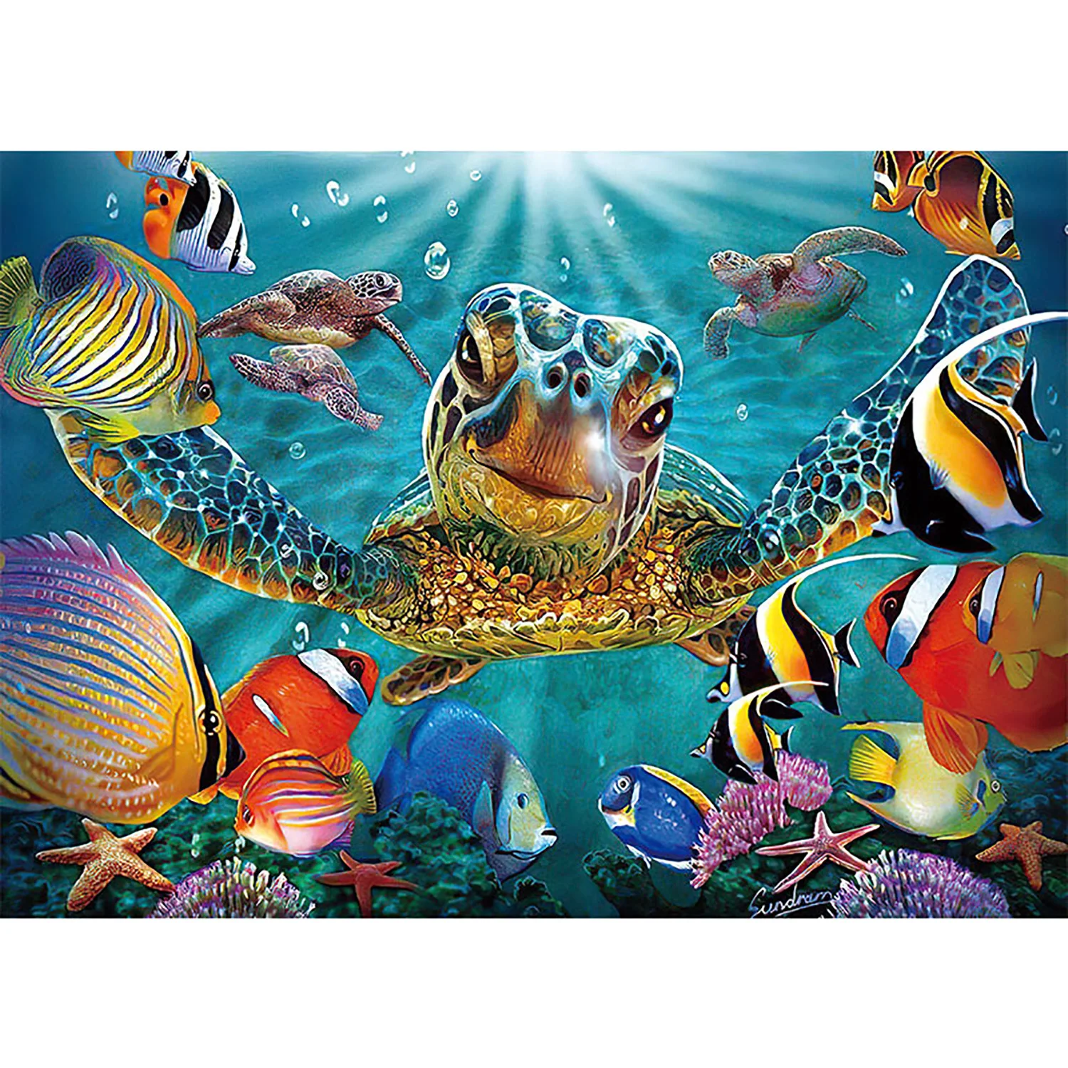 1000 Pieces Giant Turtle Jigsaw Puzzle Home Decor Adults Puzzle Games Family Fun Floor Puzzles Educational Toys for Kids