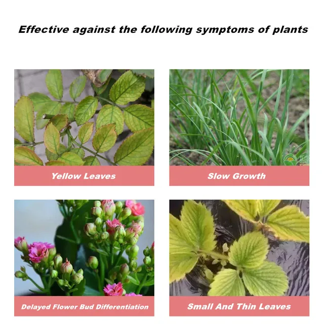 350 G Univerzális Összetett Vízben Oldódó Nitrogén Műtrágya Otthoni Kertészet Szerves Műtrágyák A Bonsai Számára - Image 5