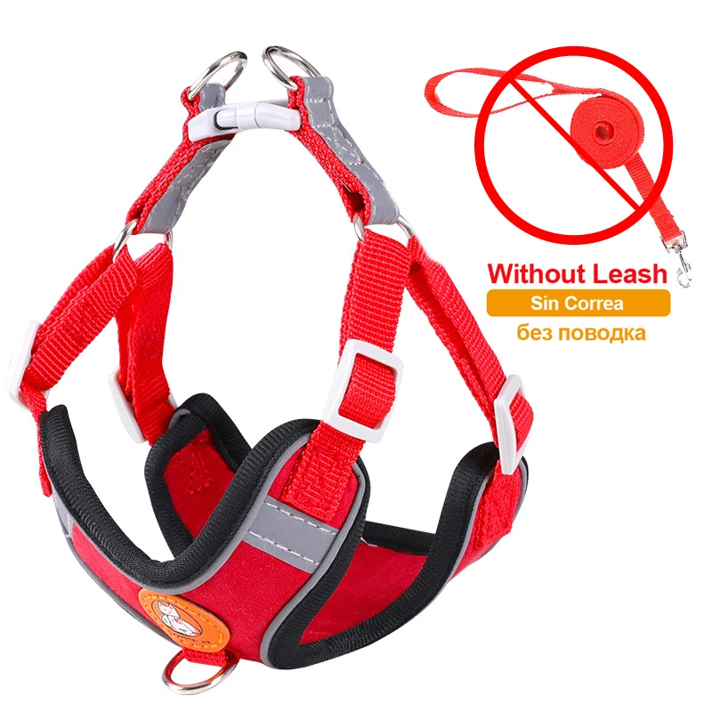 Red No Leash