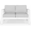Outdoor Patio Sofa, All-Weather Metal Outdoors Couch with Cushions, Outdoor Loveseat Aluminum Patio Furniture Sofa 2