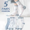 5-Pair Women's Four Seasons Cartoon Cute Little Bear Letter Slogan Transparent College Style Comfortable Breathable Middle Socks 1