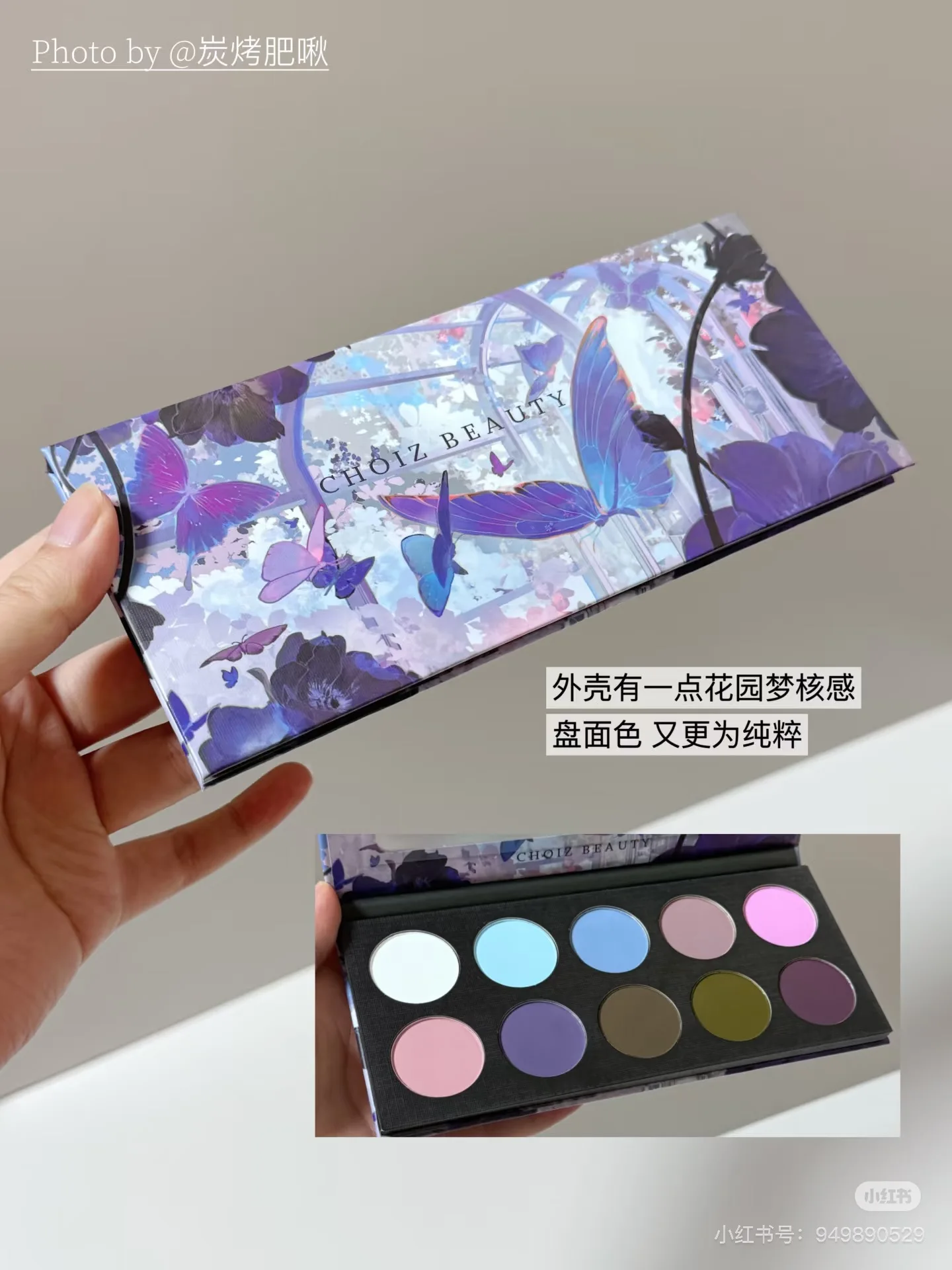 CHOIZ BEAUTY 6 Color 10Colors Eyeshadow Purple Chameleon Butterfly Matte Platte Shimmer Shining Eye Shadow Black Gothic
