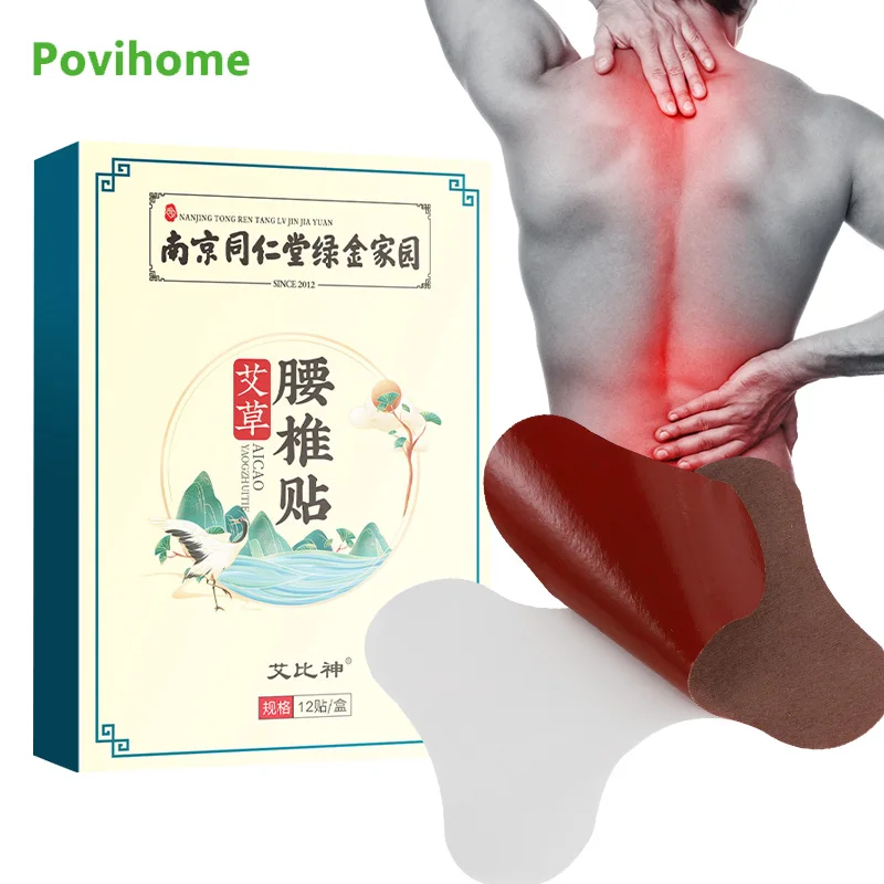 

12Pcs/box Wormwood Lumbar Vertebra Patches Low Back Pain Heating Stickers Chinese Herbal Medicine Moxibustion Adhesive Plaster