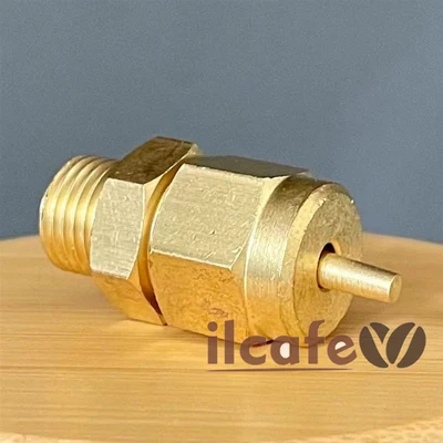 Valvola Caldaia Ø 1/4 "M Valvola Vuoto Ecm, Bezzera, Grimac