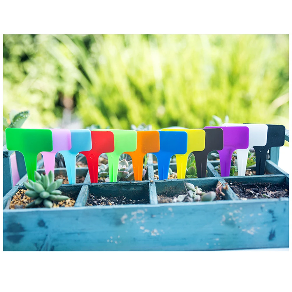 

Garden Labels Plant Tags Plant Labels Plate Potted Durable Easy To Write Plastic Practical Reuse Garden Accessories