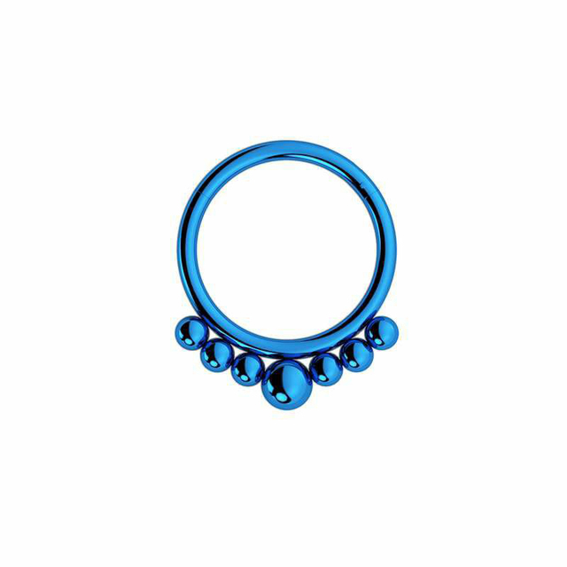 Nose Ring Hoop Septum Piercing Hinged Segment Clicker Surgical Steel Ear Cartilage Earrings Tragus Helix Daith Body Jewelry