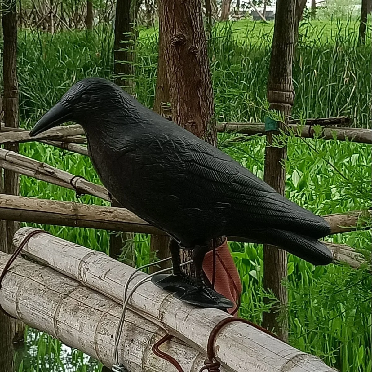 Simulation Black Crow Raven Bird Repellent Pest Control Pigeon Repellent Garden Decoration Outdoor Courtyard Crafts Ornaments