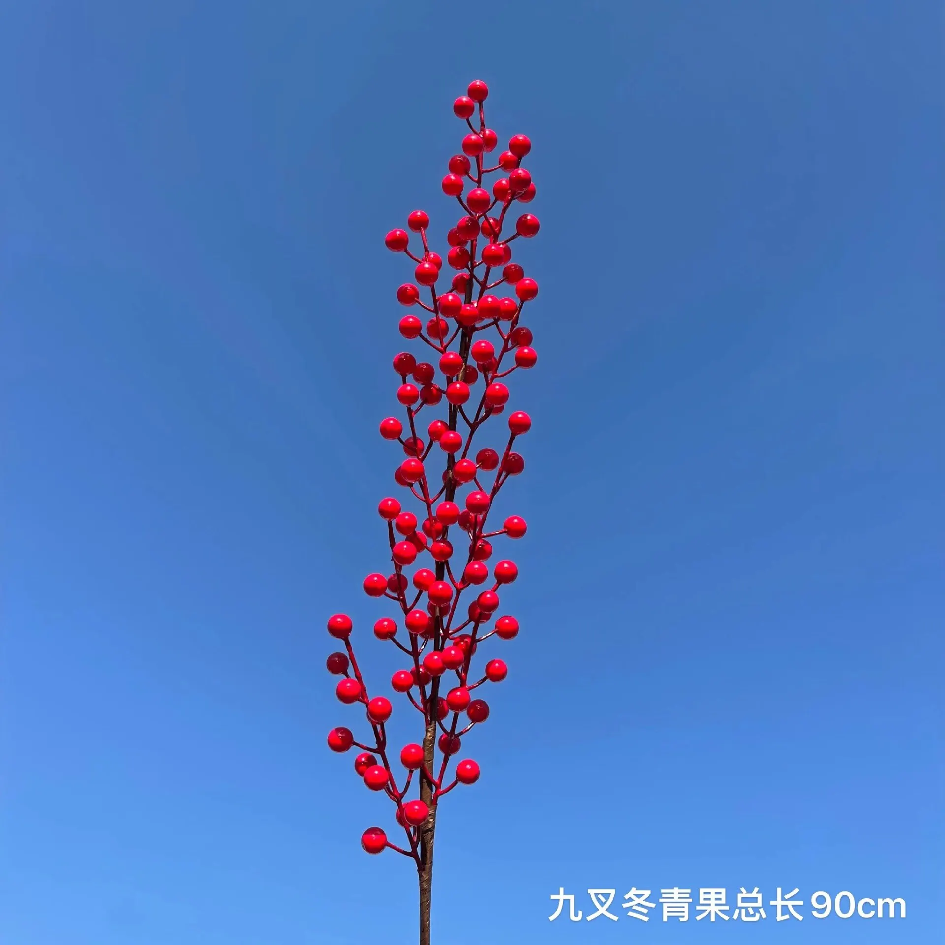 Nine- red fruit