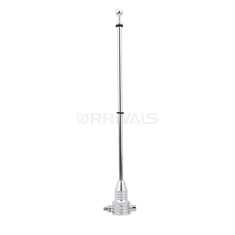 Motorcycle Flag Pole 2