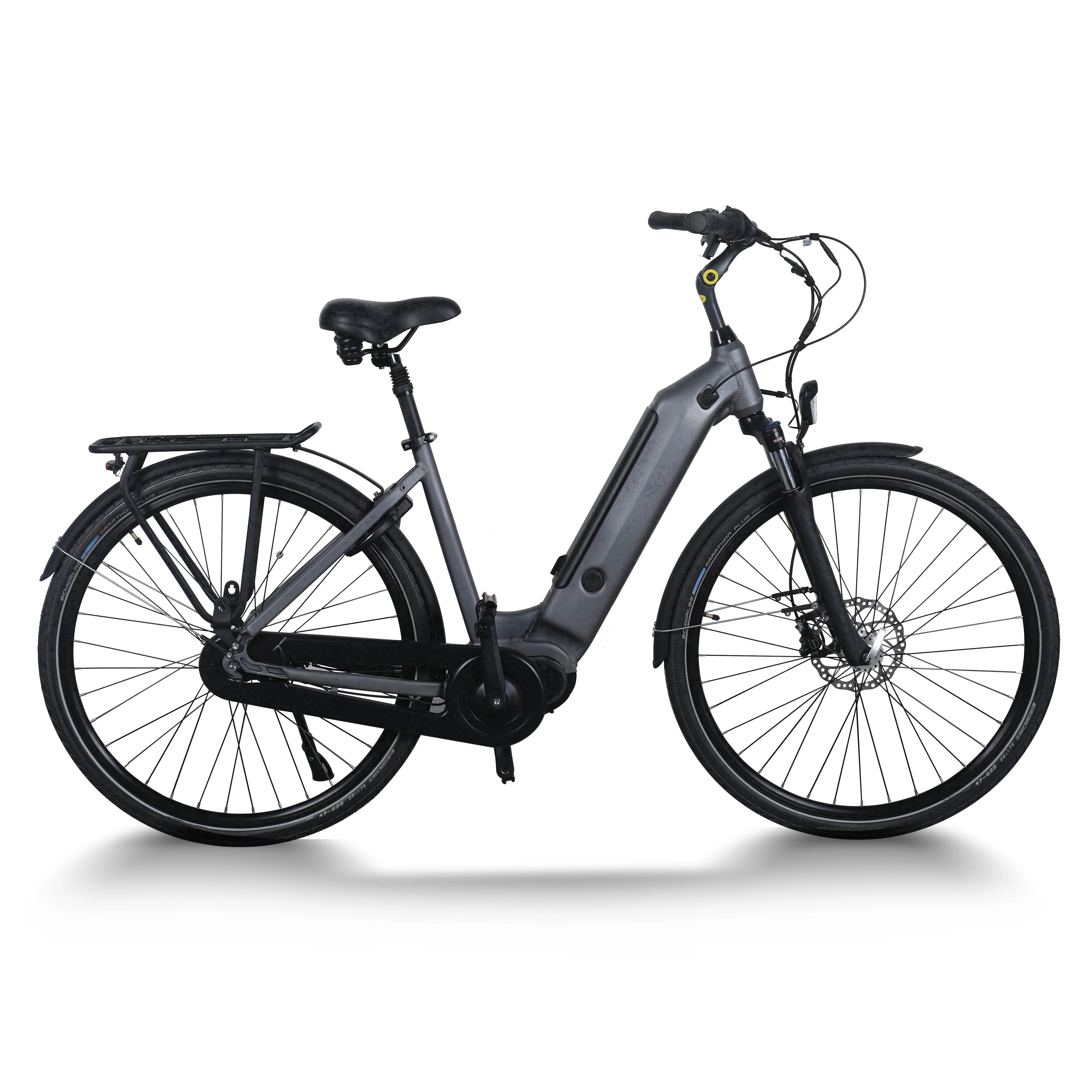 City Bike Lithium Battery Electric Bicycle E Bike Ebike City Outdoor Travel for Woman LED Light Electronics 36V