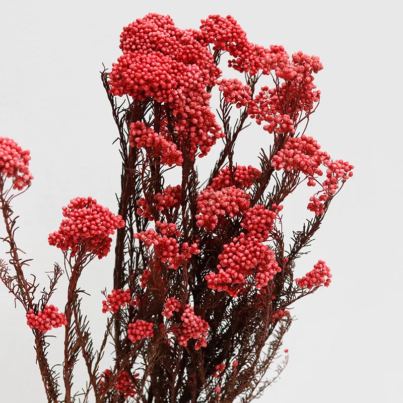 

Natural Dehydrated Flowers Home Decoration Dried Flower Wedding Supplies Tv Table Props Party Accessories Preserved Artificial
