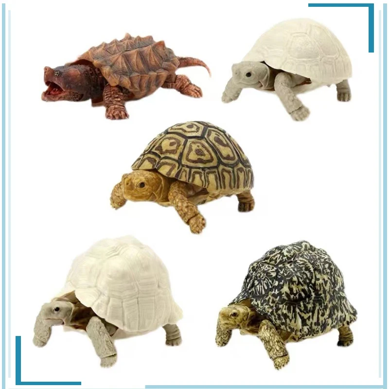 

BANDAI Gashapon Biology Illustrated Guide Ocean Biology Leopard Tortoise Active Joint Kawaii Collect Ornaments Figure Model Toys
