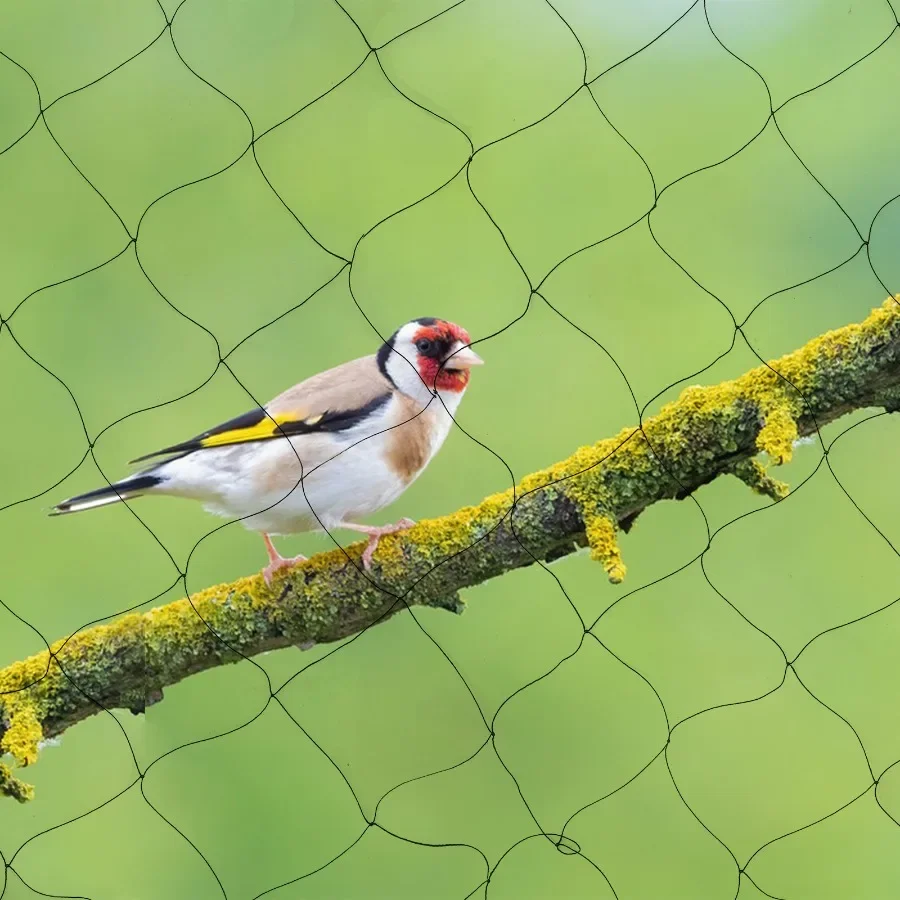 100 Fuß x 50 Fuß Vogelnetz, robustes Nylonnetz, Gartennetz, schützt Obstbäume, Pflanzen und Gemüse, Vogelnetz – Detail 1