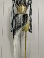2025 New Shiny Diamond Sequin Tassels Sexy Mesh Long Sleeved Two Piece Set Women Evening Birthday paty Nightclub Stage Costume - Image 6