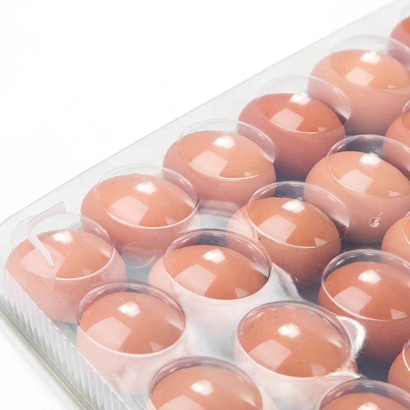 24 Grids Egg Storage Box Portable Picnic Camping Eggs Container With Lid Stackable Kitchen Fridge Egg Holder Plastic Tray 4