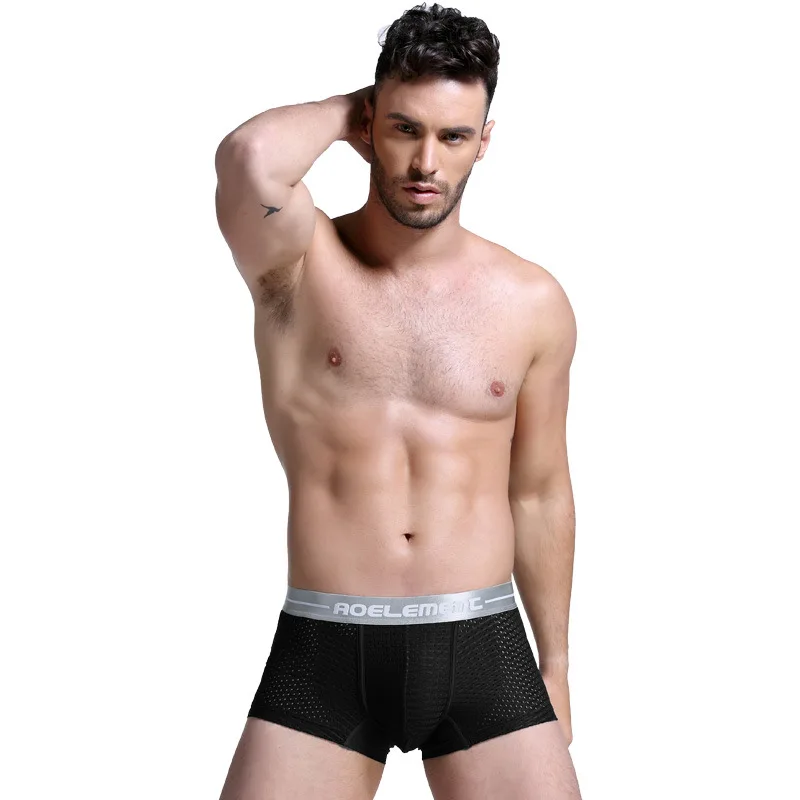 

Men Underwear Briefs Mesh Sexy Man Shorts Soft Ice Silk Panties Underpants Medium Transparent Panties Breathable Ultra Thin New